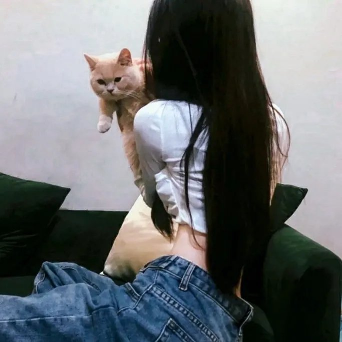 积木之箱